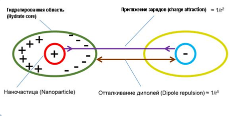 Рис. 3. Схема электростатических взаимодействий между противоположно заряженными гидратированными компонентами в водной суспензии (клоновское притяжение и поляризационное отталкивание) 